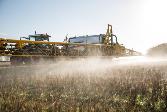 Truth About Gluten, Glyphosate, and Gut Health