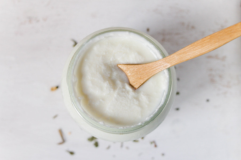 Yogurt Starter Culture: How Does It Work?