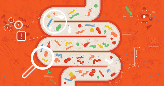 Part 2 INTELLIGENT MEDICINE: Gut Health Innovations: Insights from Martha Carlin