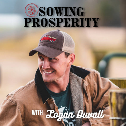 Sowing Prosperty: How Gut Health Impacts Metabolism - Discover the Power of Sugar Shift - Martha Carlin