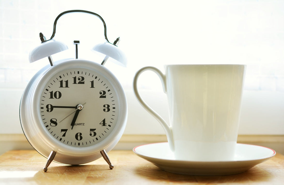 Can Probiotic Supplements Make or Break Your Fast?