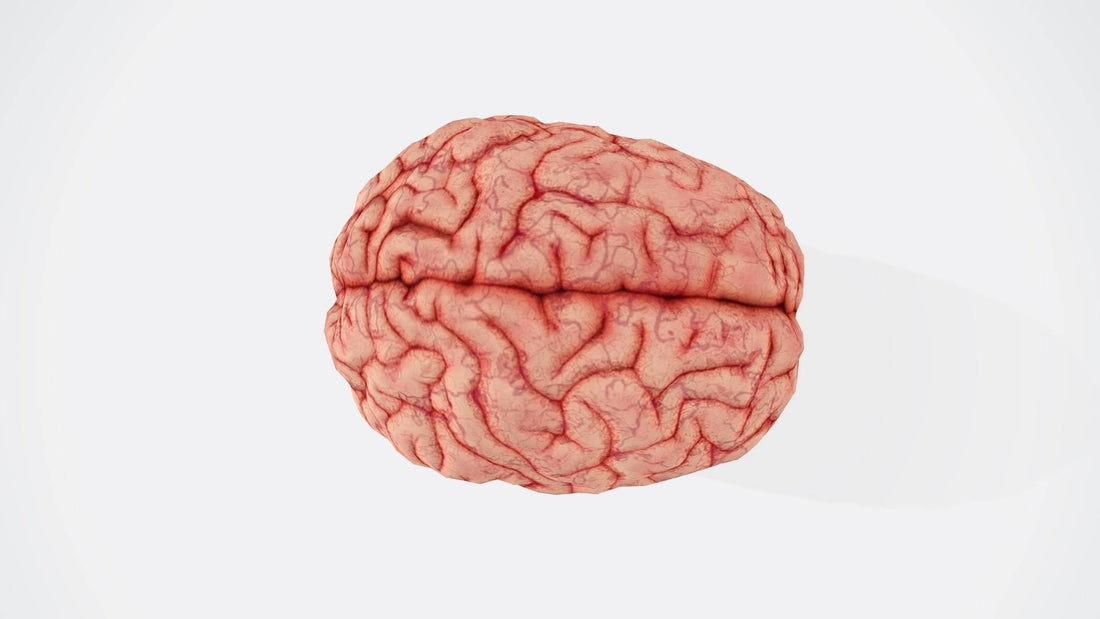 Lose Weight for a Better Brain