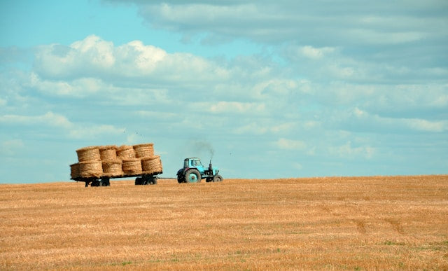 Unraveling the Gluten Mystery: Is Glyphosate the Hidden Culprit?