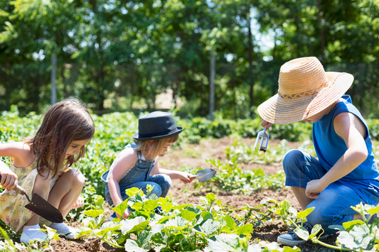 Probiotic Gardening