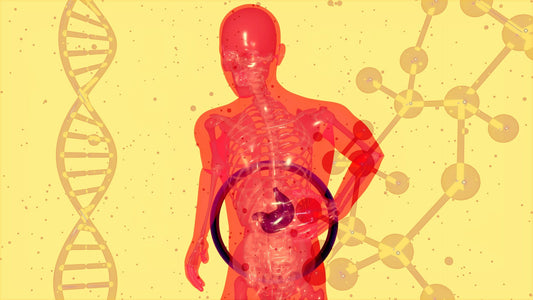 How to Heal Gut Inflammation Naturally