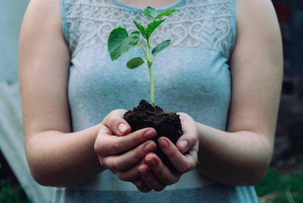 Your Gut is Your Garden