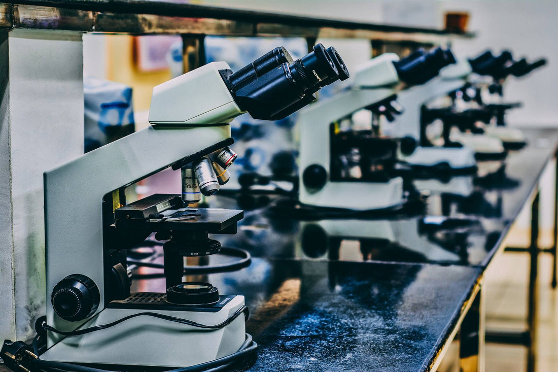 2021 Q2 Review: Parkinson’s & the Gut