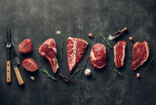 Carnivore and the Microbiome: A Double-Edged Diet