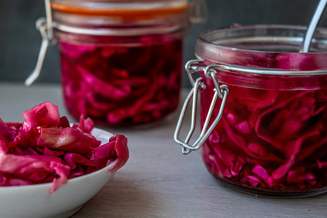 Understanding Gut Immunity — Probiotics and the Immune System