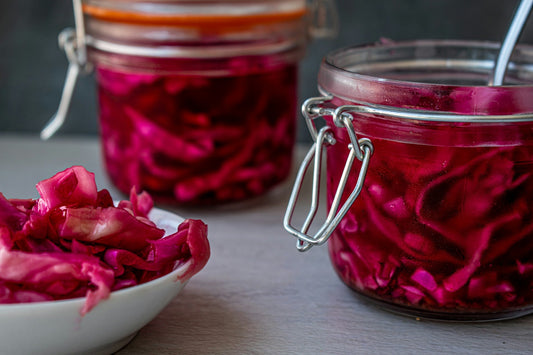 Understanding Gut Immunity — Probiotics and the Immune System