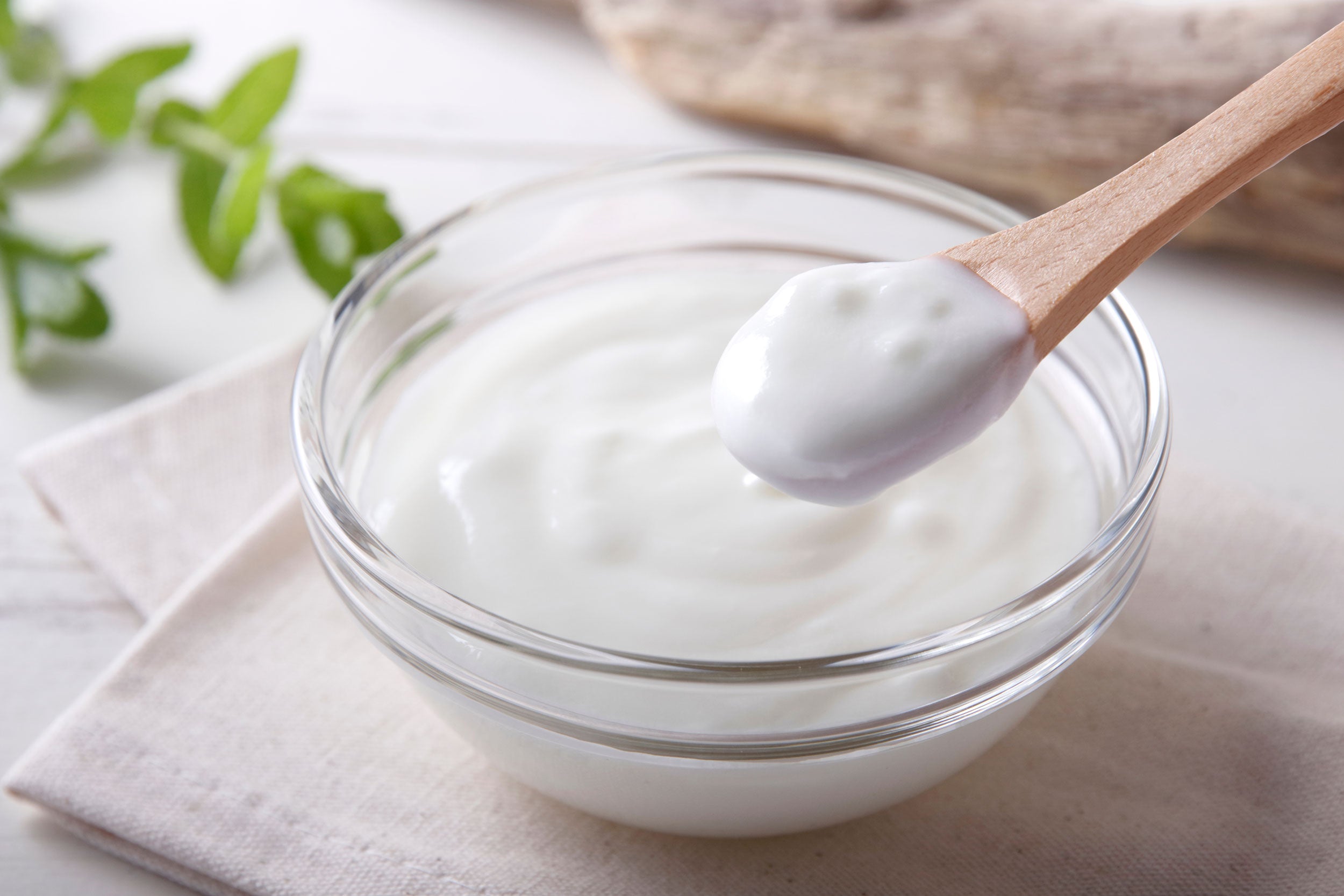 http://biotiquest.com/cdn/shop/articles/yogurt.jpg?v=1688756136