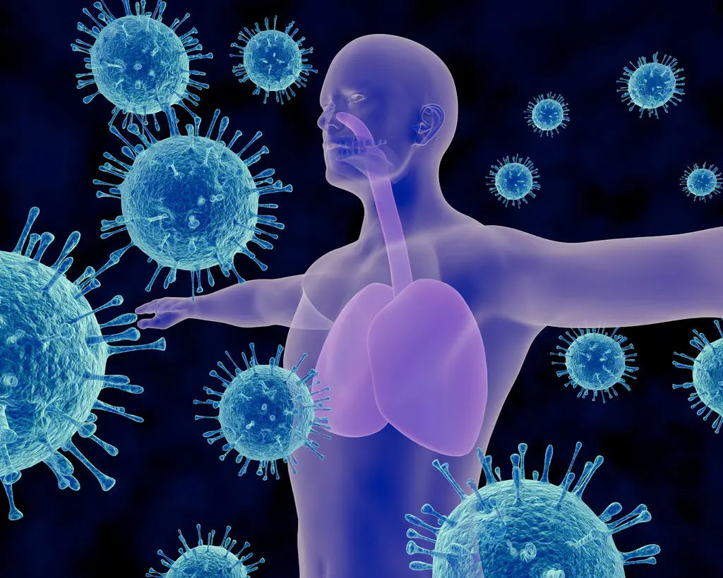 5 Things You Can do to Build a Healthy Immune System