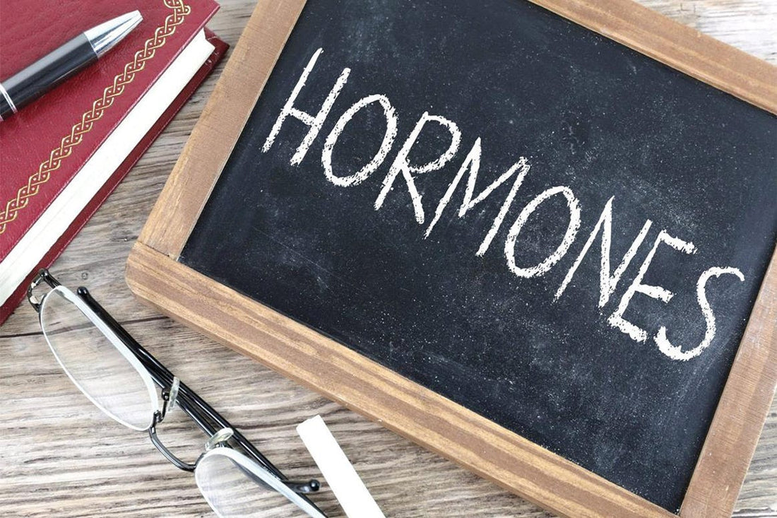 Hormone imbalance — Can Hormone Balancing Supplements help?