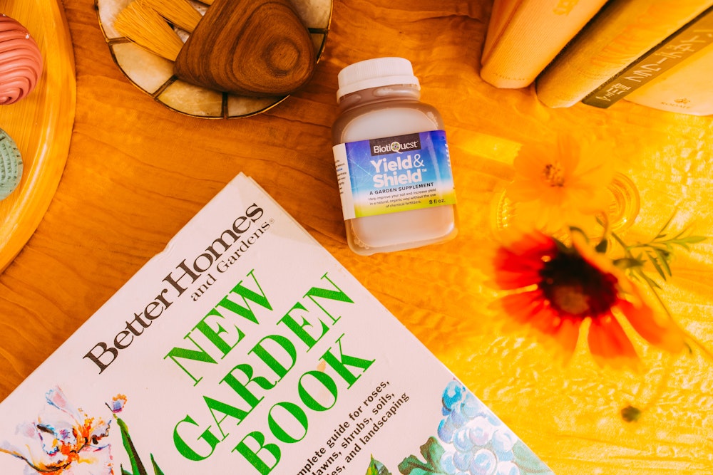 Gut-Friendly Gardening: Grow These Vegetables and Herbs for Better Digestion