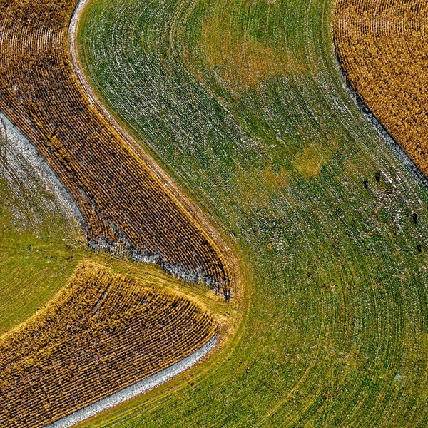 Unleash Your Energy: The Hidden Role of Minerals | Microbes and Energy | Mitochondrial Health