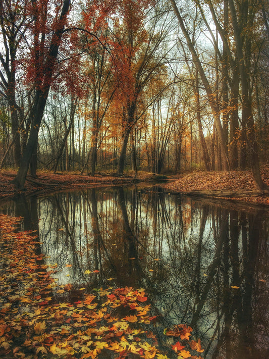 What is fall telling your biology?
