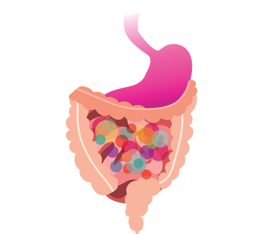 The Truth About Gut Health Detox