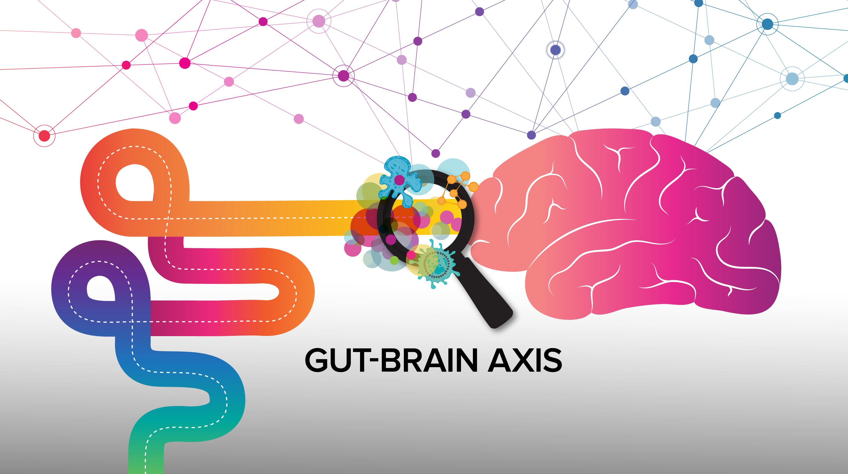 Axis Background Happiness From Belly to Brain: The Gut-Brain Axis – BiotiQuest