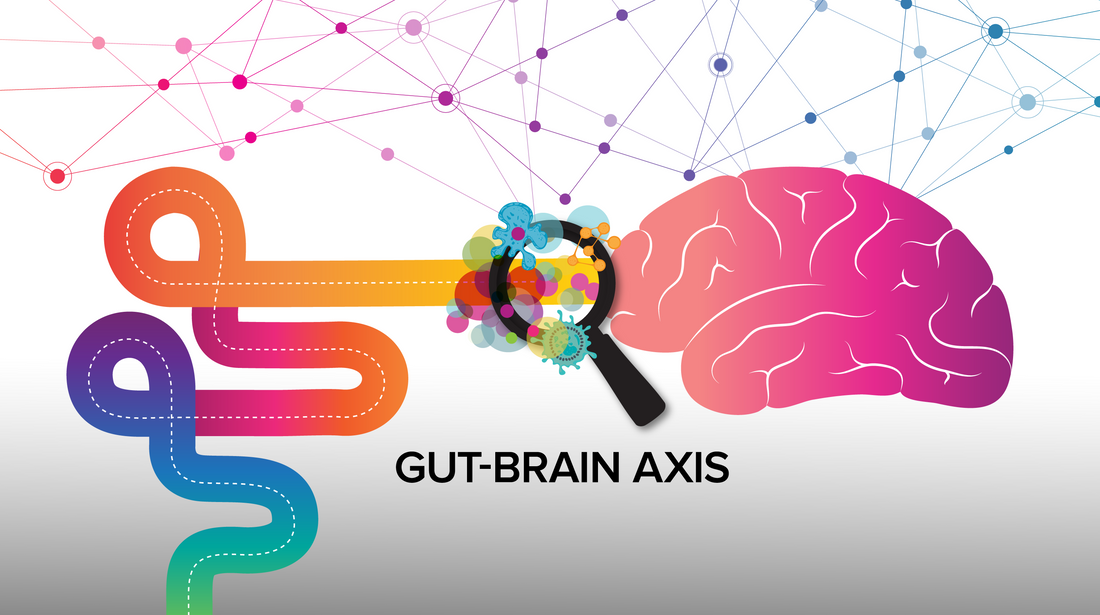 Happiness From Belly to Brain: The Gut-Brain Axis