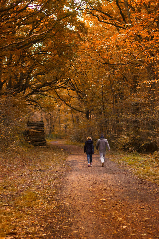 Why We Move Less in Fall and What That Means for Our Gut Health