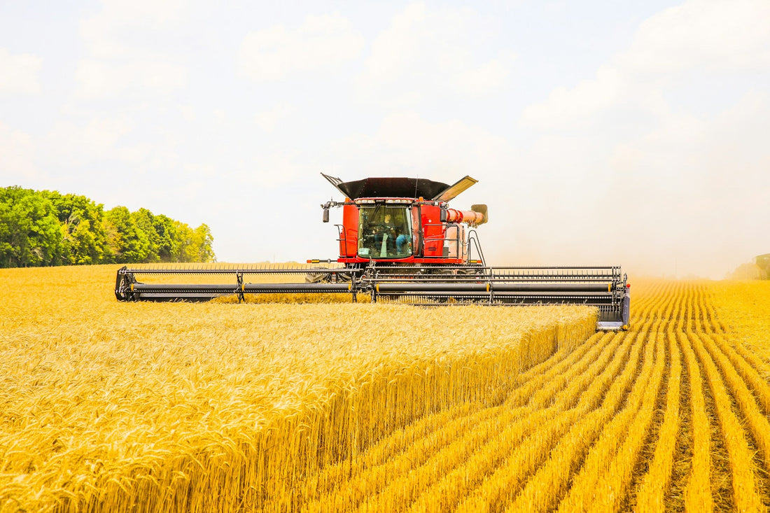 Glyphosate, Accountability, and the System We’ve Built
