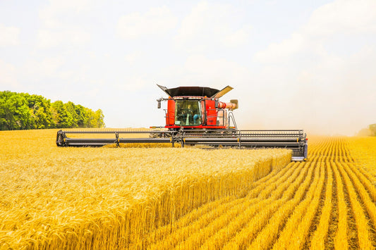 Glyphosate, Accountability, and the System We’ve Built