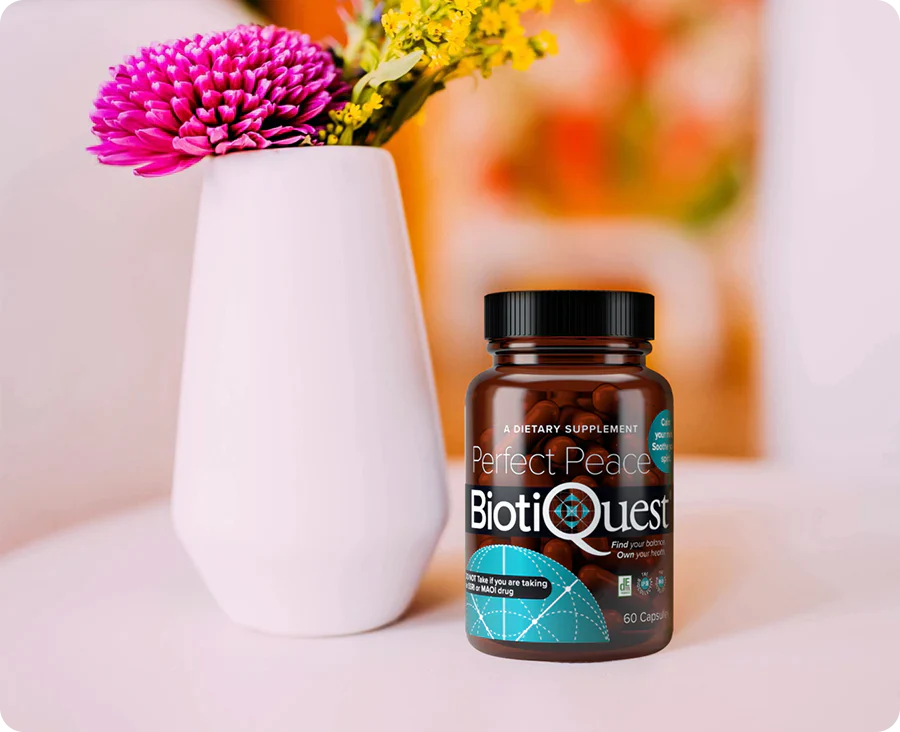 Probiotics and the Regulation of the Stress Response