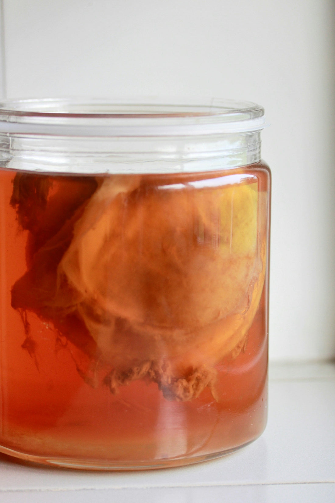 Fermentation Science 101: What Makes Fermented Foods So Powerful?