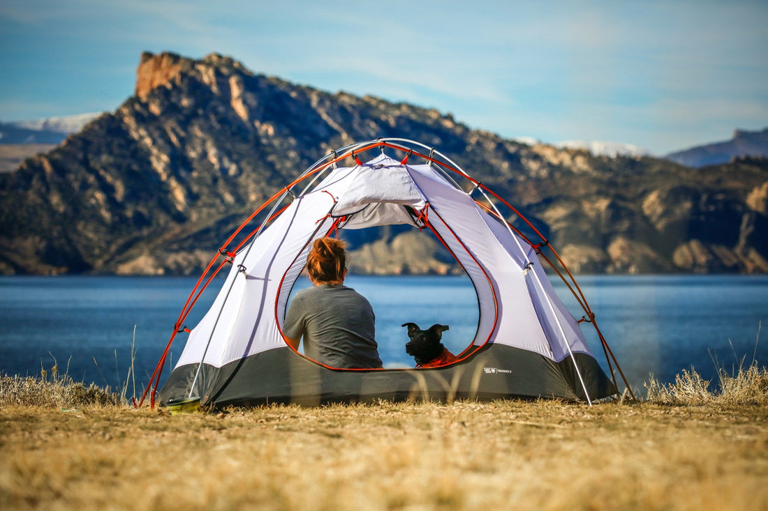 Gut-Smart Camping: Water Safety, Giardia Risks, and Immune Support Outdoors