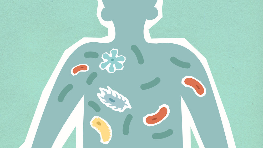Can an Imbalance in the Gut Lead to Parkinson’s?