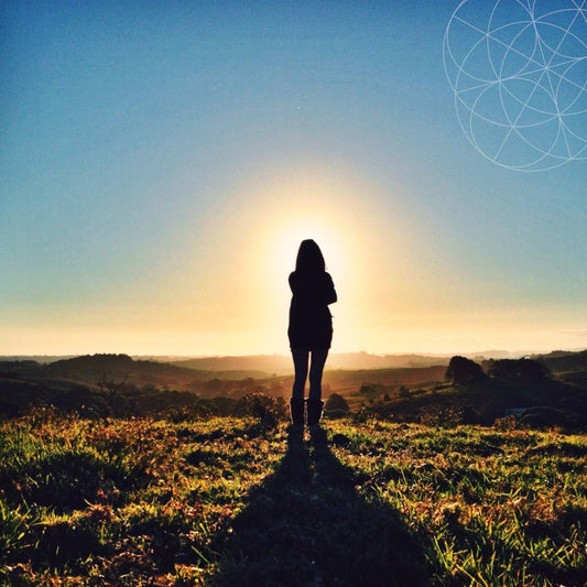 do probiotics really work