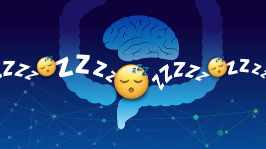 The Gut Brain Axis: How it Impacts Sleep Quality