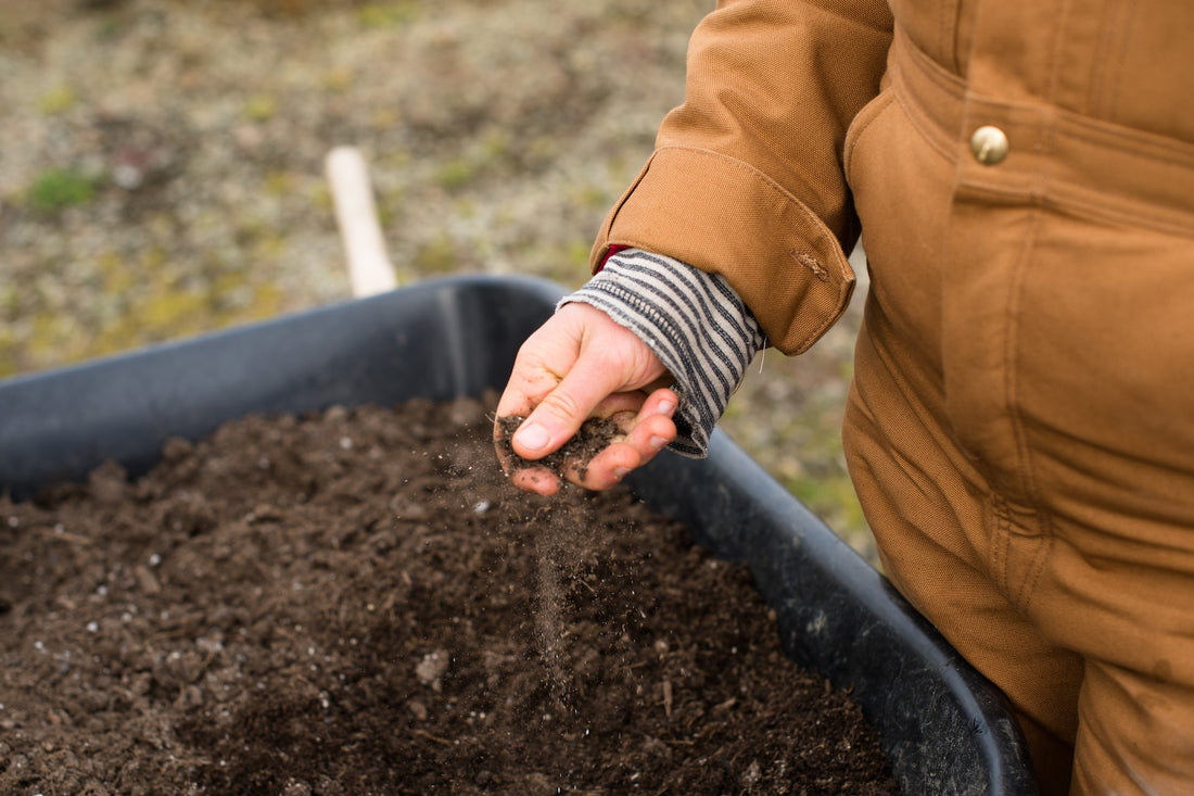 Revitalize Your Garden: Expert Tips on Rejuvenating Your Soil for Lush and Vibrant Plants