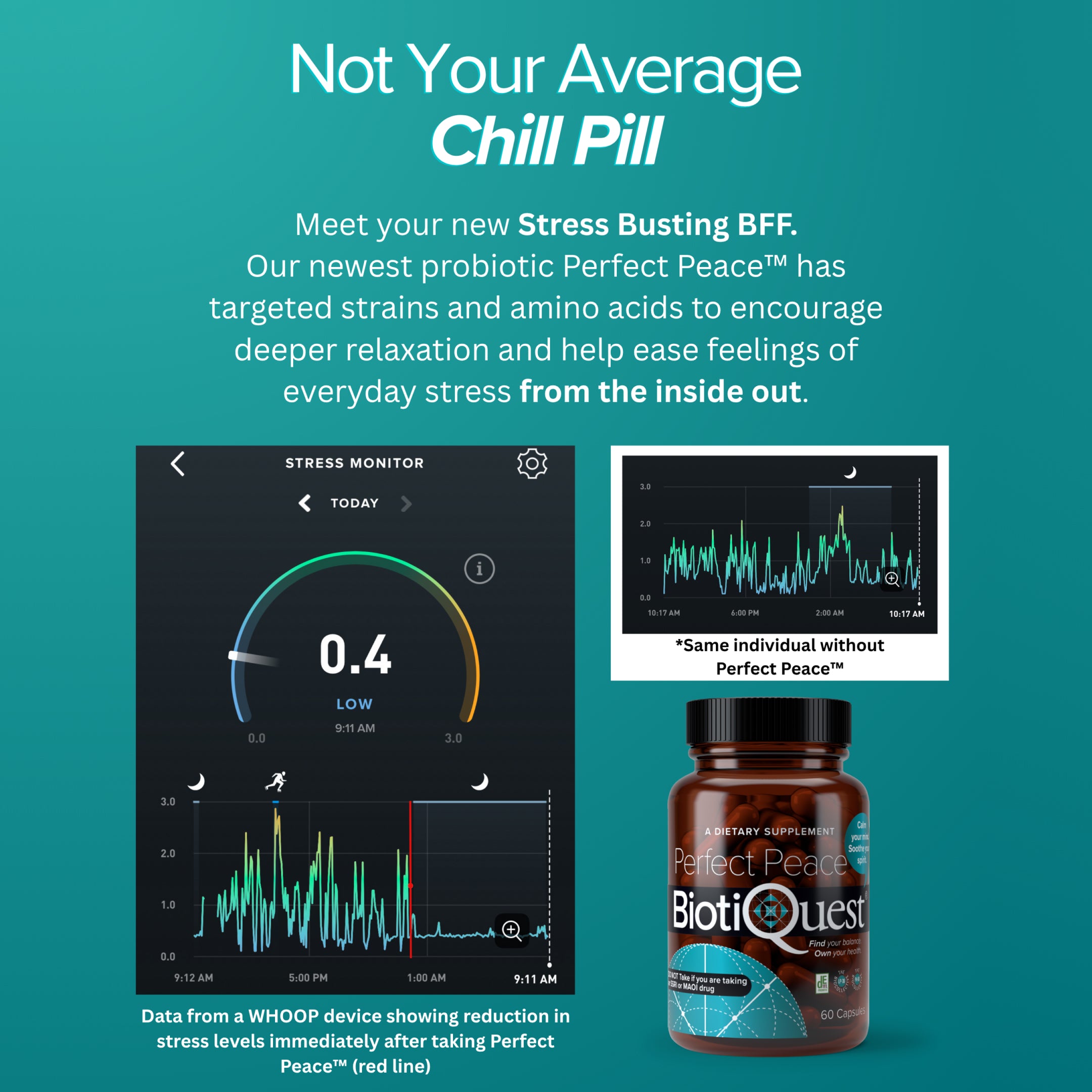 Thumbnail for Gallery Image 5