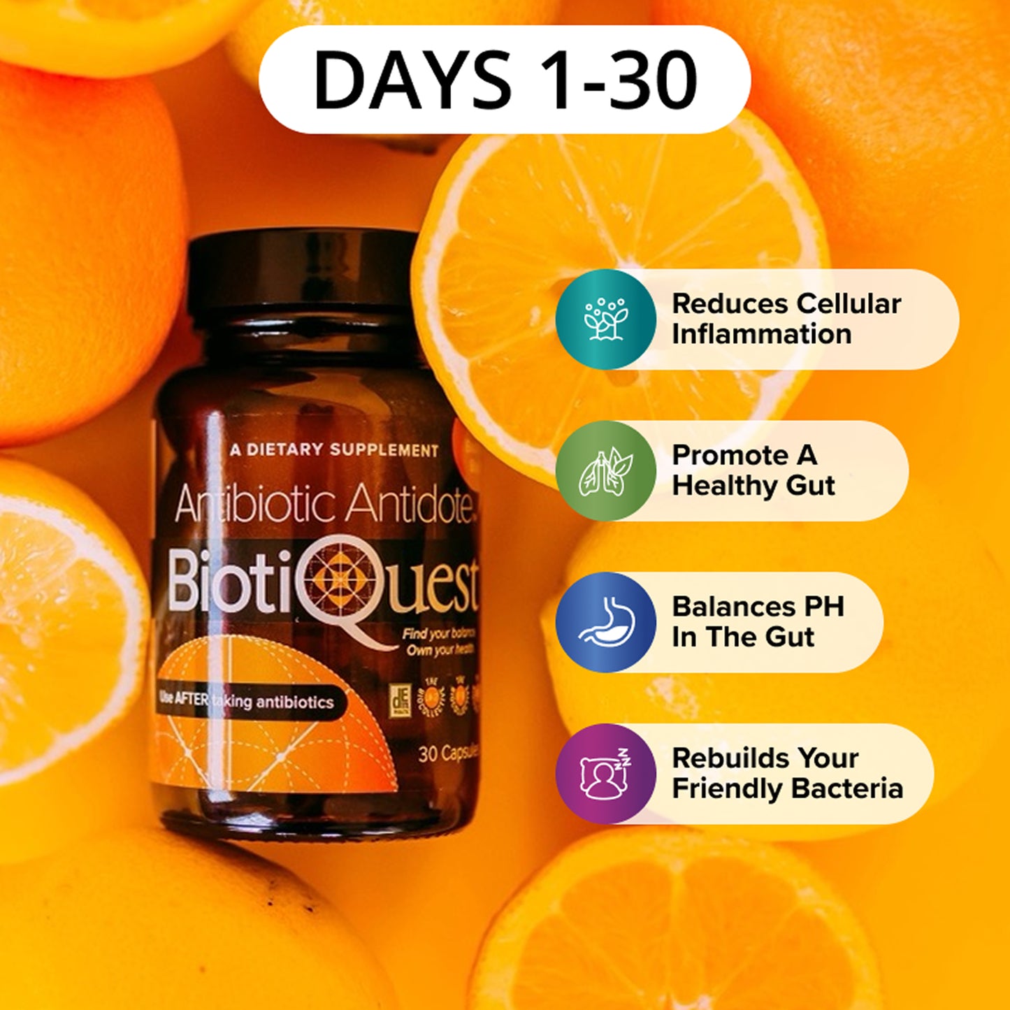 Total Gut Reset Kit