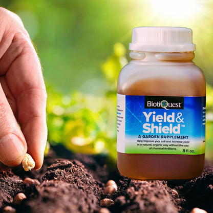 Yield and Shield™