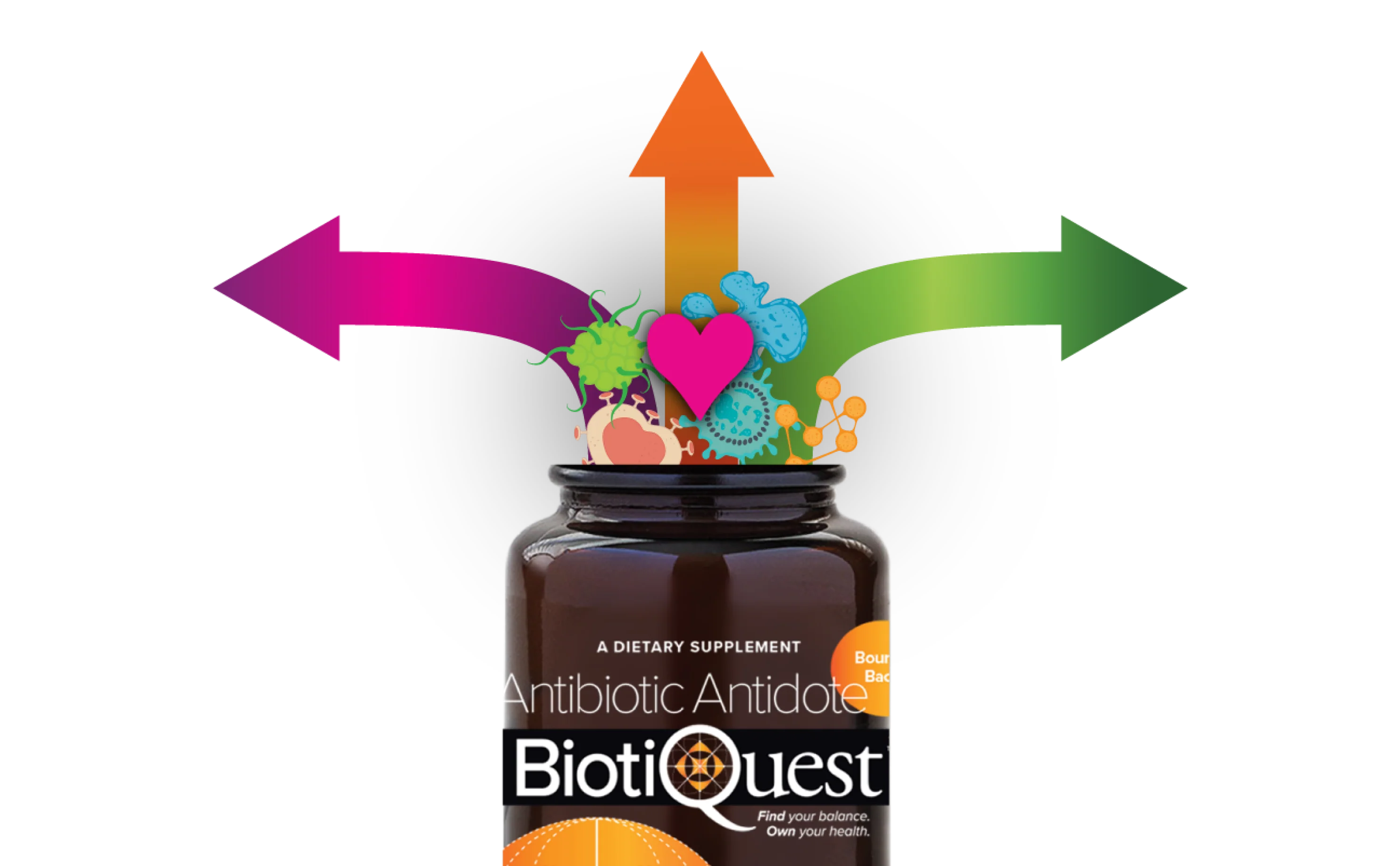 Antibiotic Antidote Best Probiotic After Antibiotics Biotiquest®