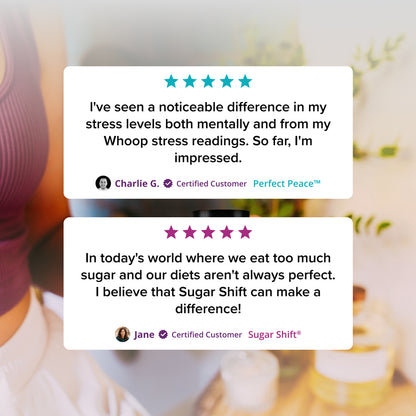 Holiday Survival Kit